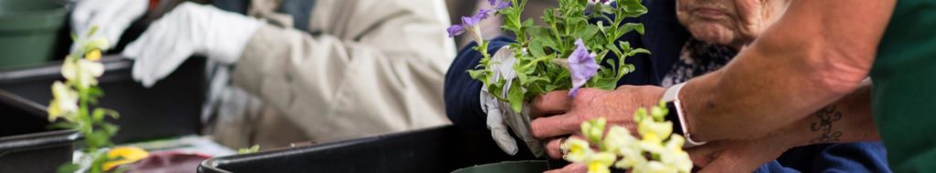 Assisted Living Activity in San Diego