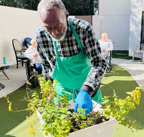 Memory Care Activities in Los Angeles, CA